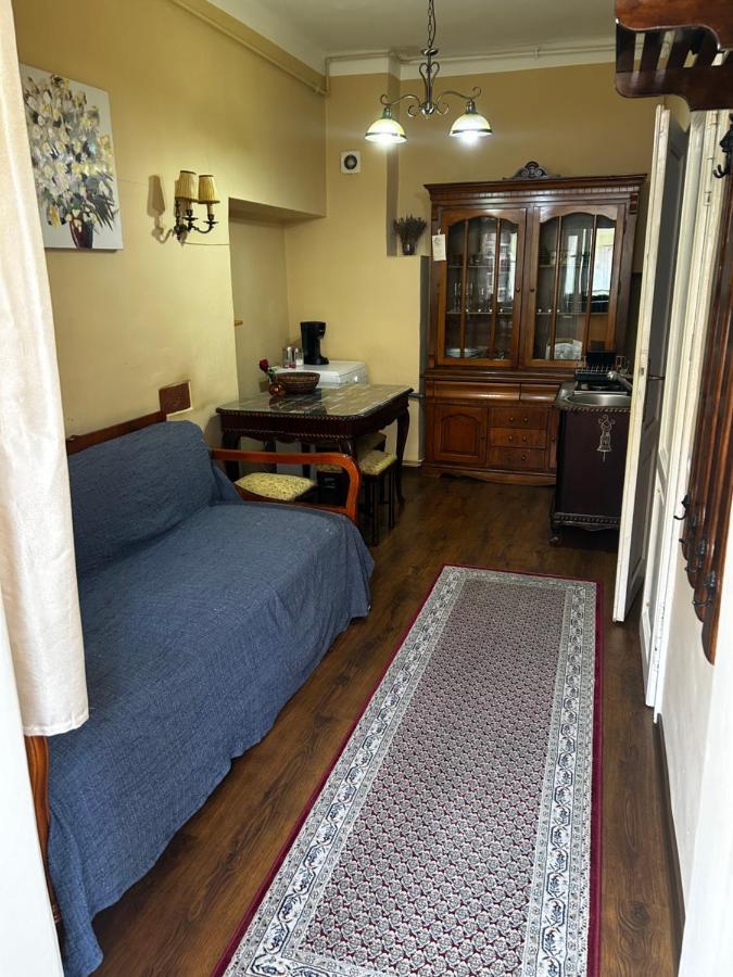 Dominic Studio Apartment Sibiu Ngoại thất bức ảnh